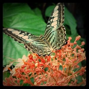 Meet your Posher, Aaryn